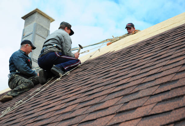 Roof Gutter Cleaning in Greenacres, FL